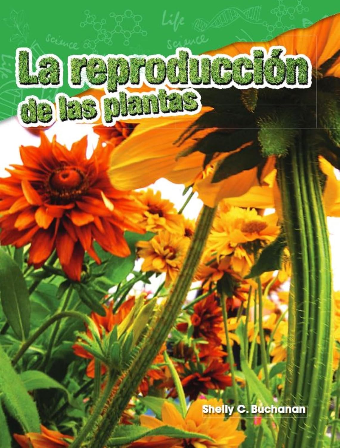 La reproducción de las plantas