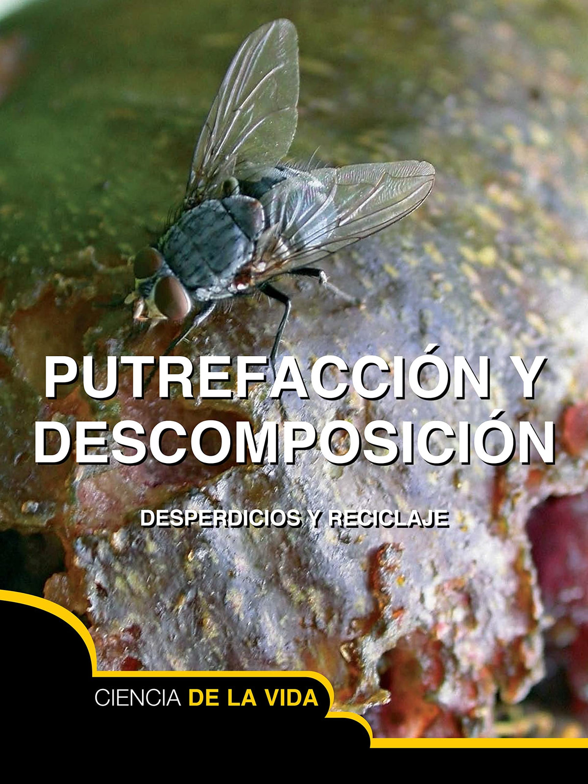 Putrefacción y descomposición (Rot and Decay)
