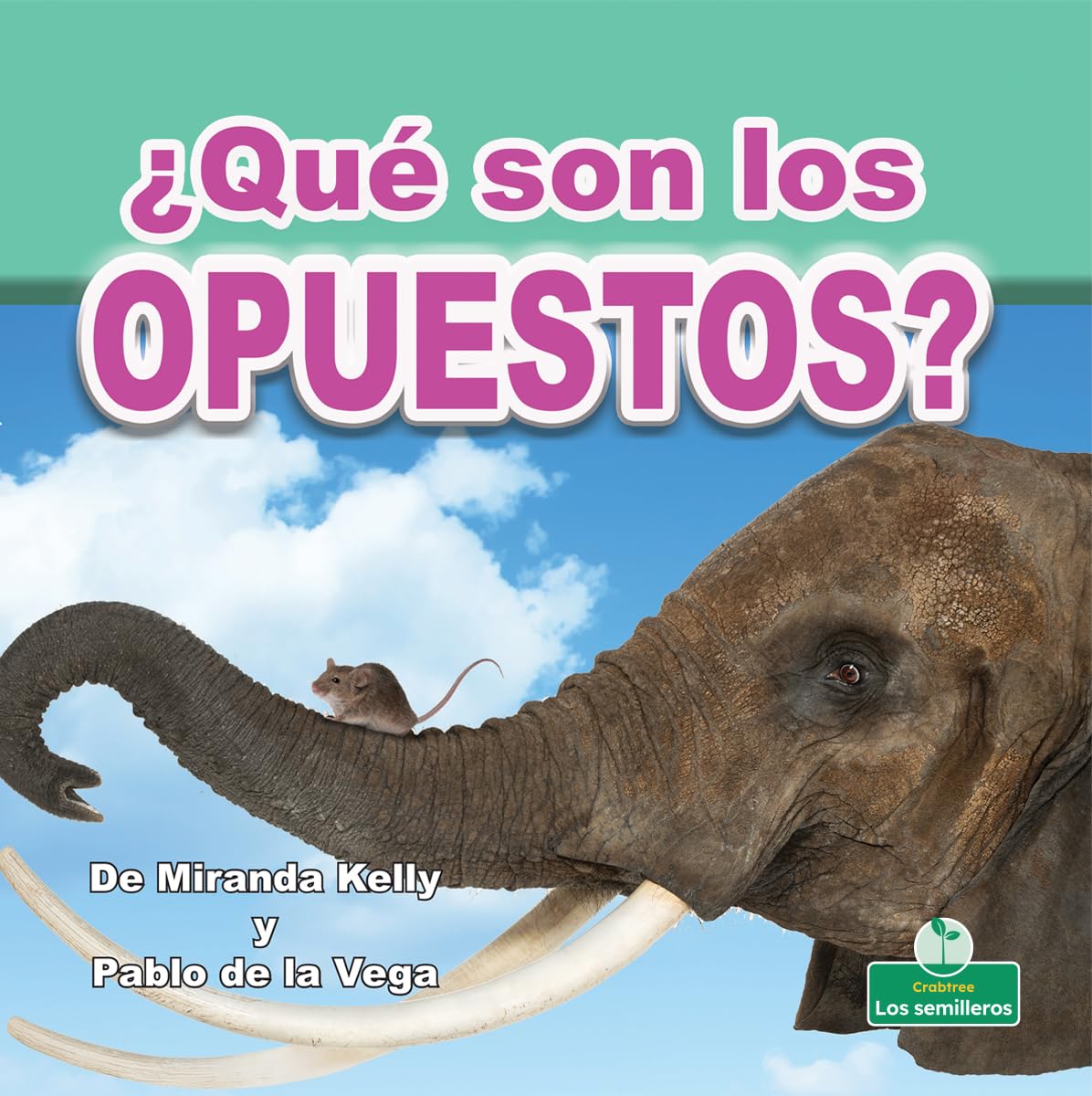 ¿Qué son los opuestos?
