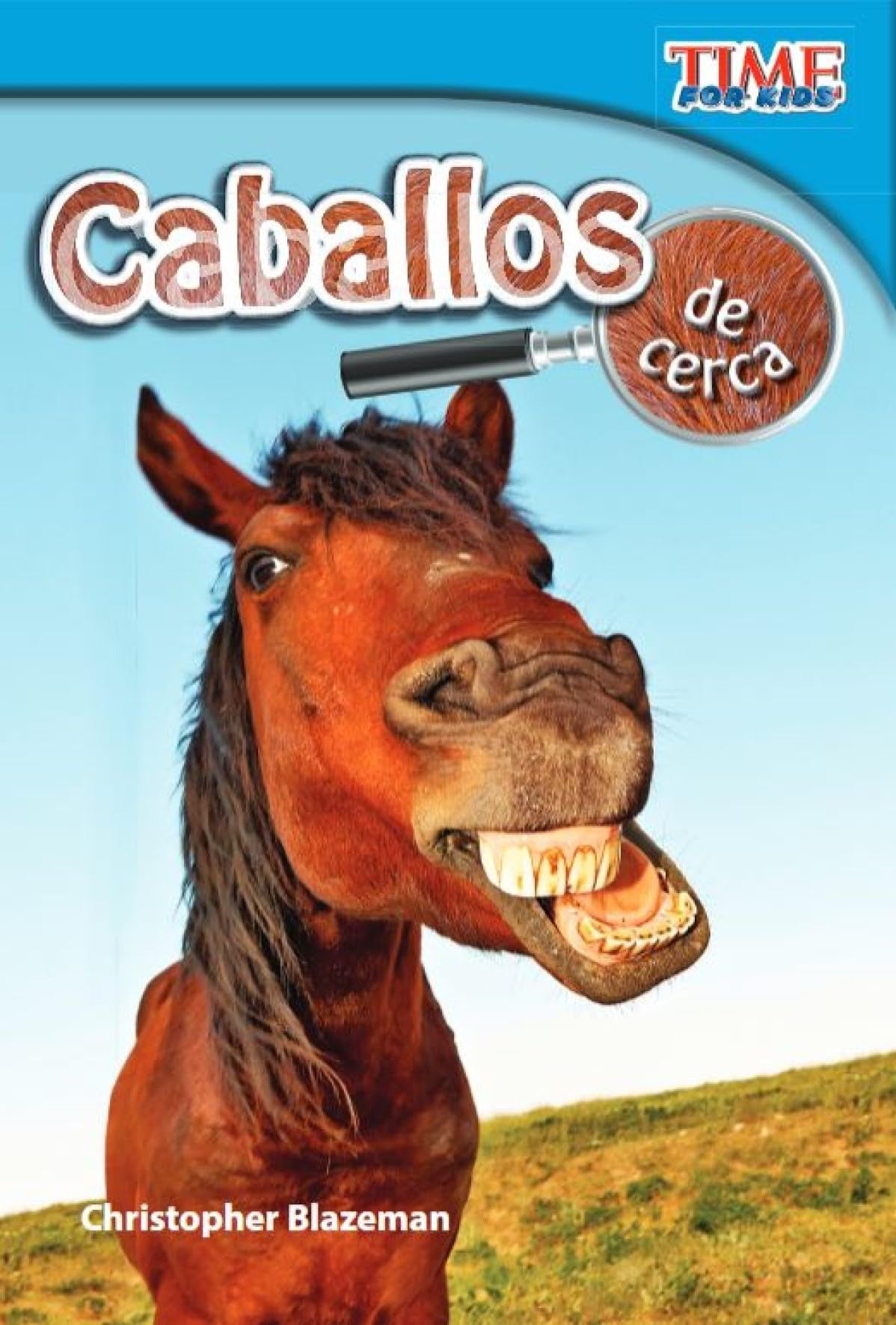 Caballos de cerca