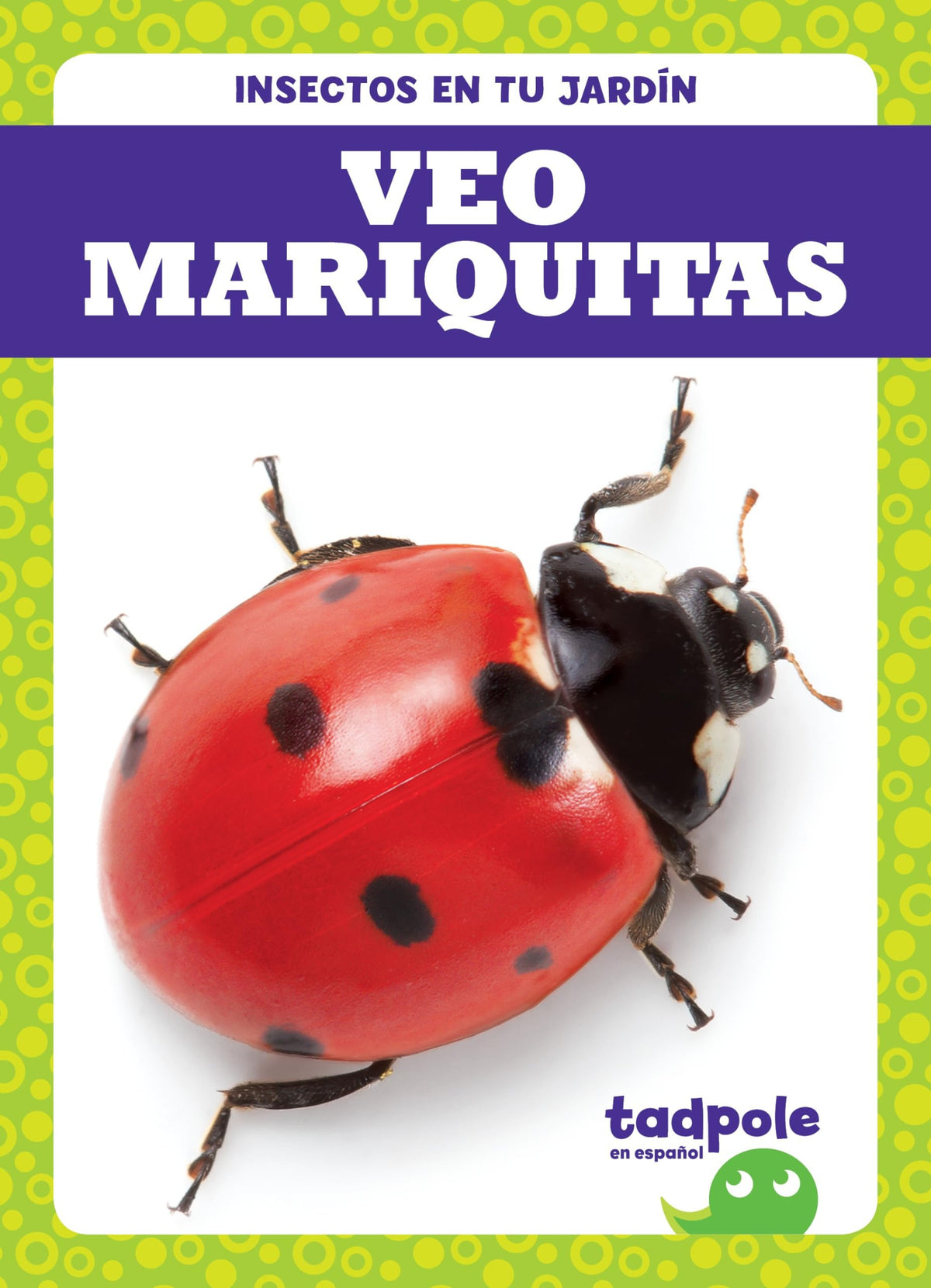 Veo mariquitas (I See Ladybugs)