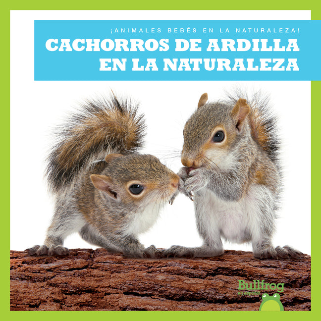 Cachorros de ardilla en la naturaleza