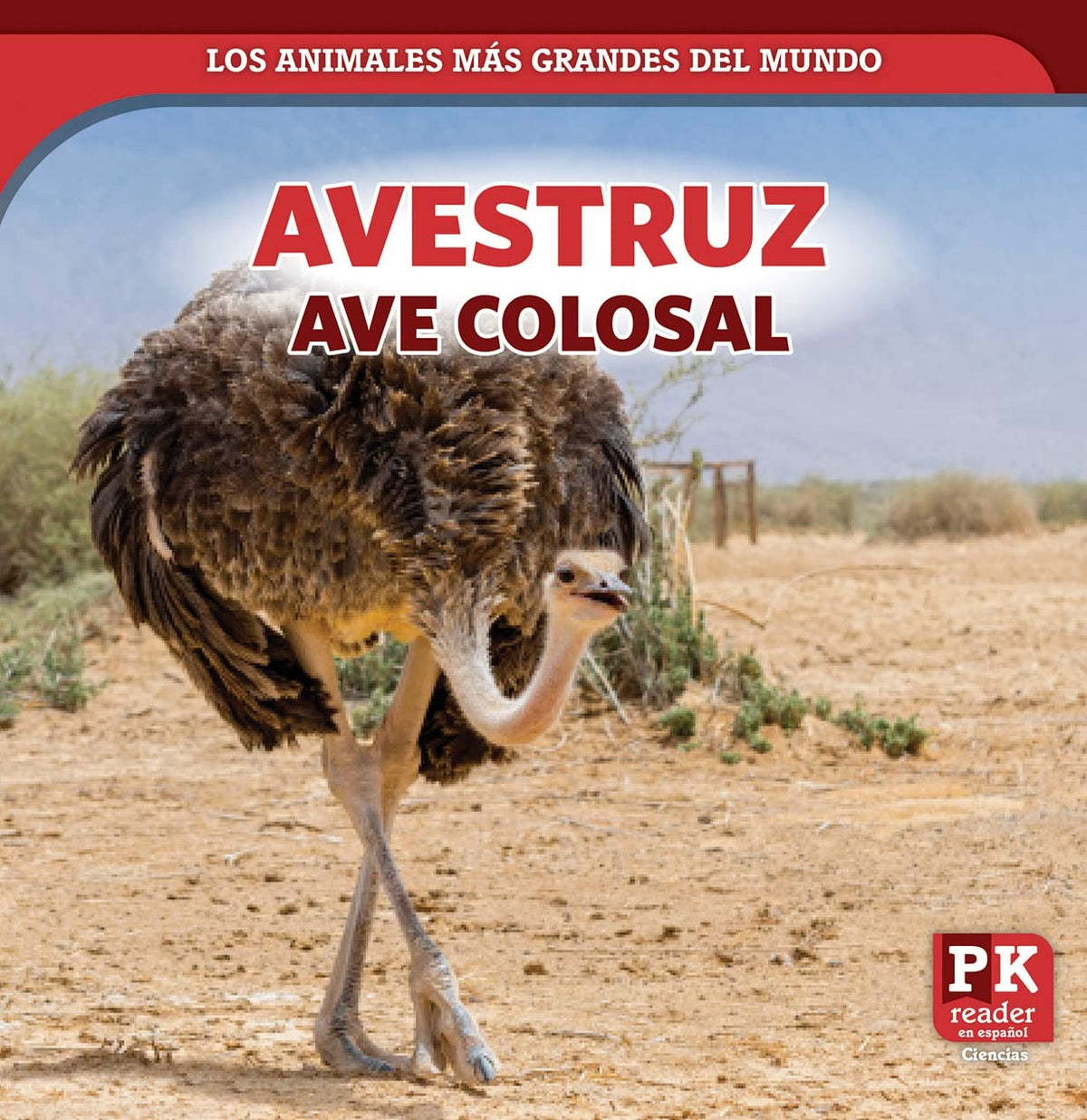 Avestruz: ave colosal (Ostrich: Colossal Bird)
