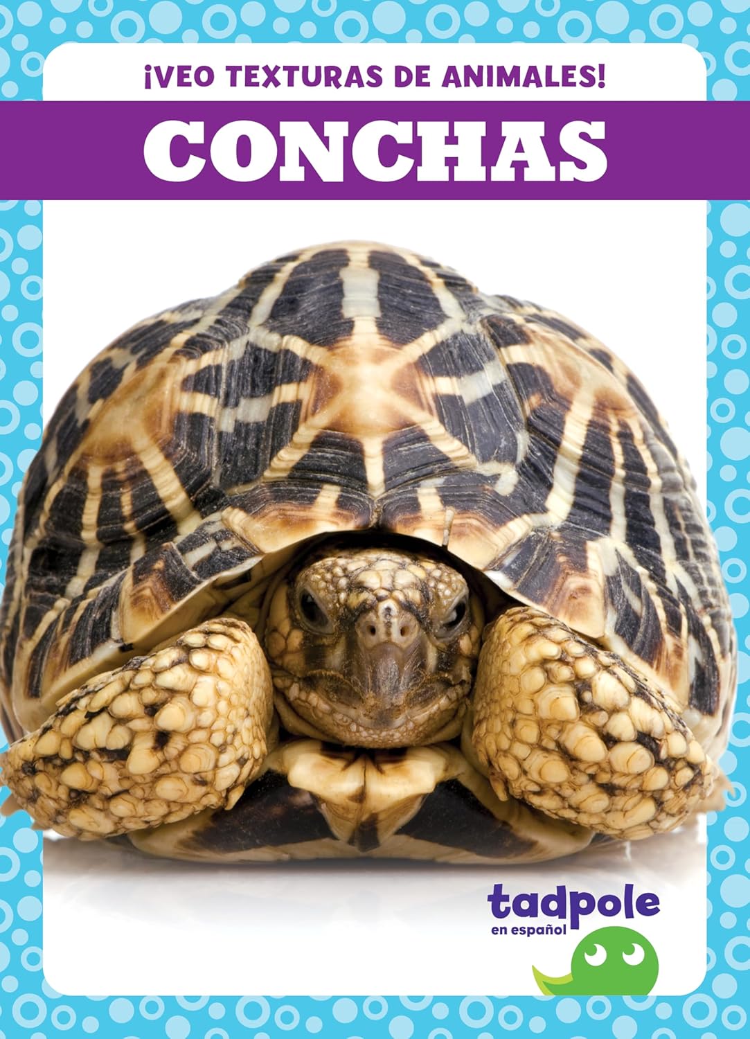Conchas