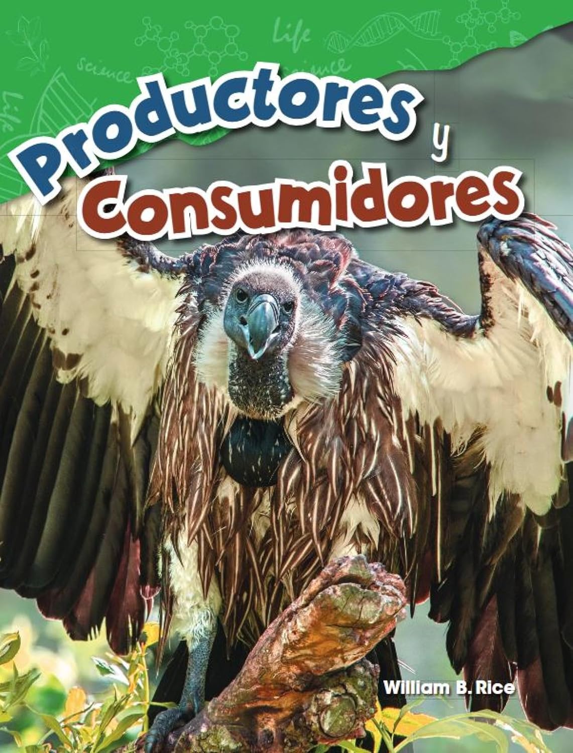 Productores y consumidores