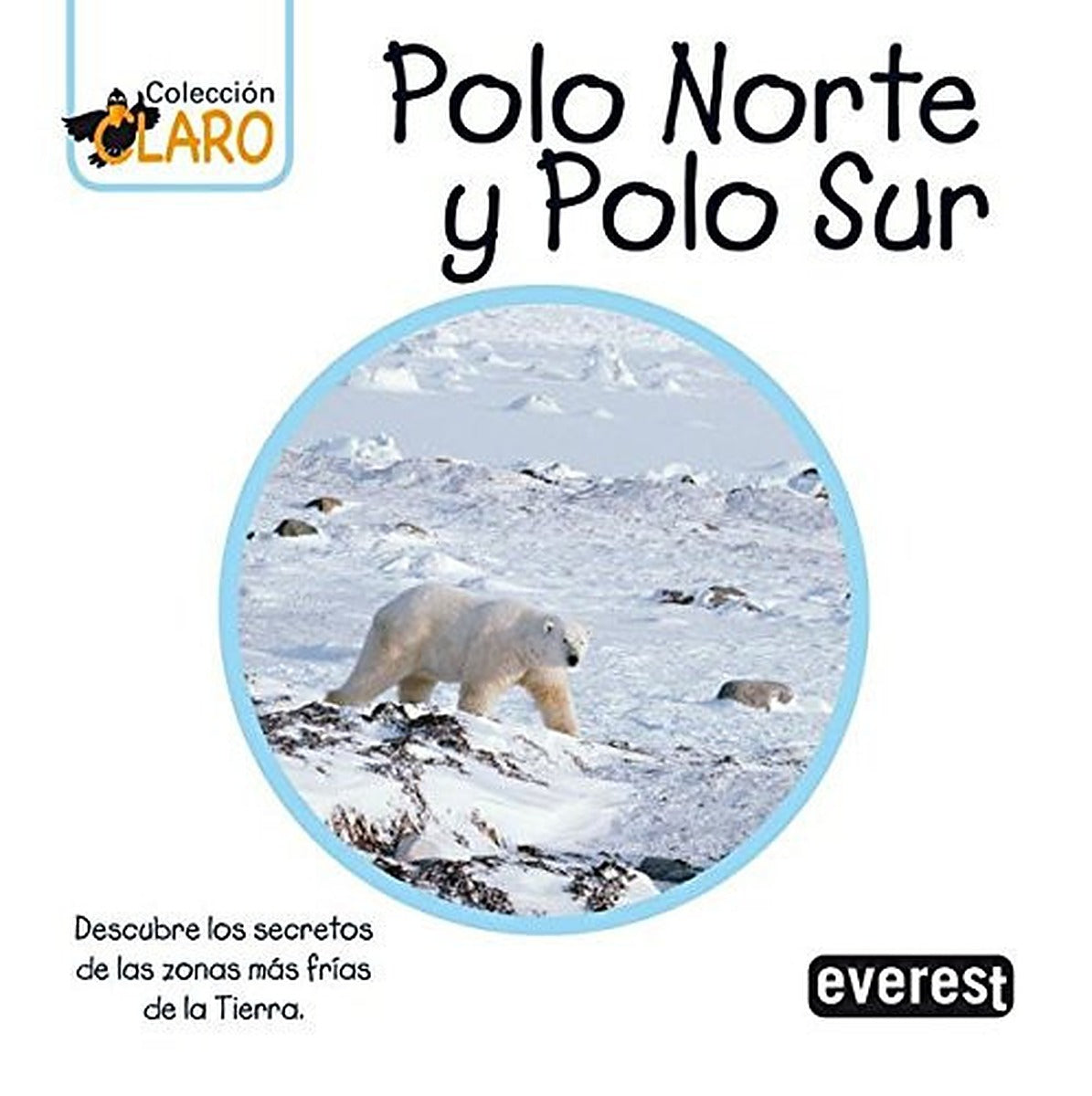 Polo Norte y Polo Sur