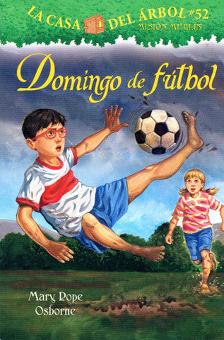 Domingo de fútbol