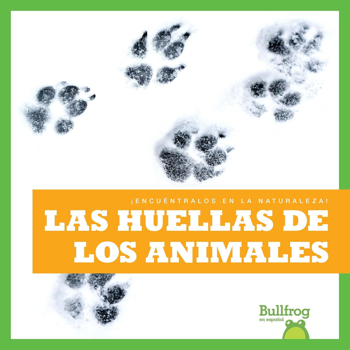 Las huellas de los animales