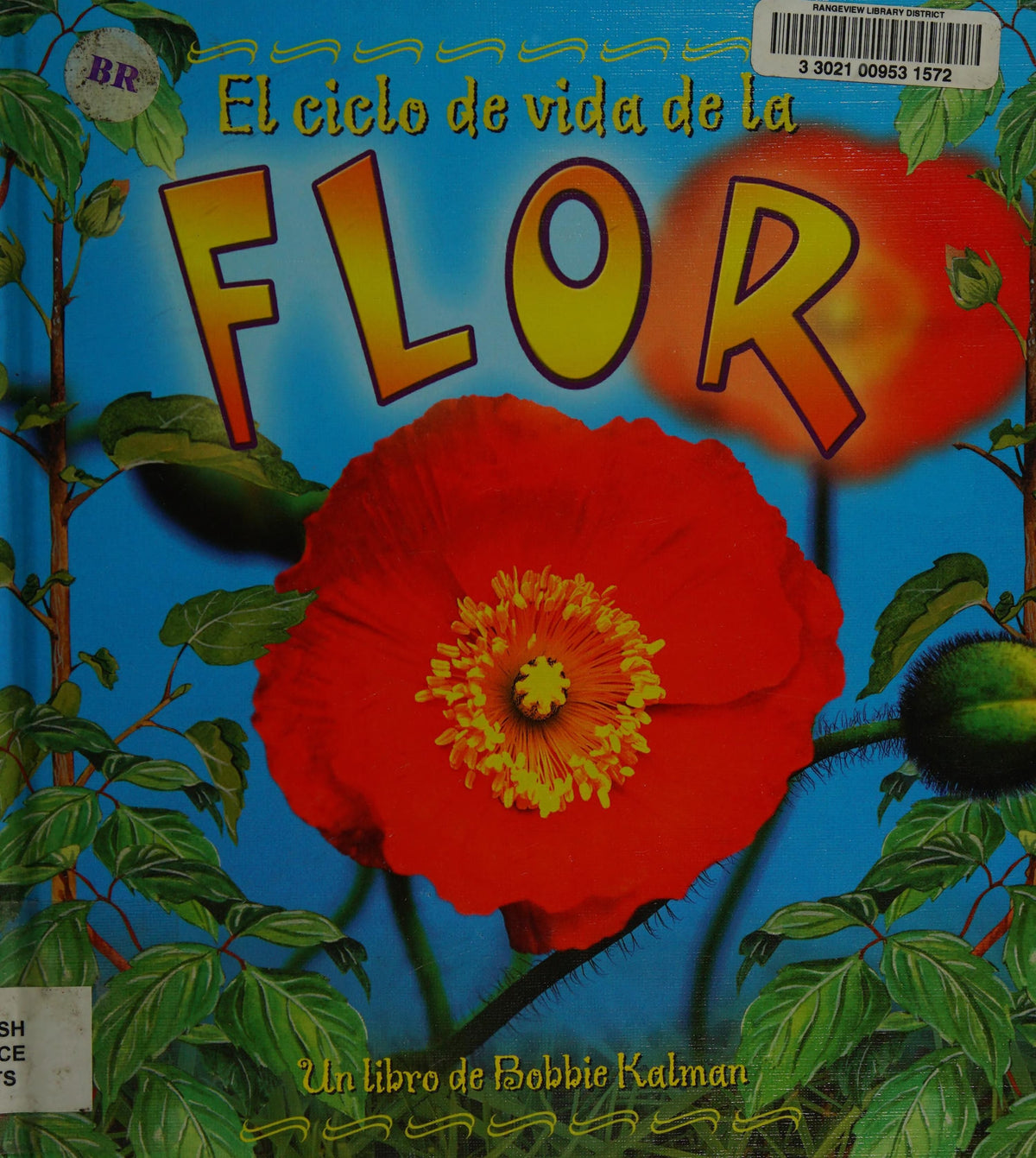 El ciclo de vida de la flor (The Life Cycle of a Flower)