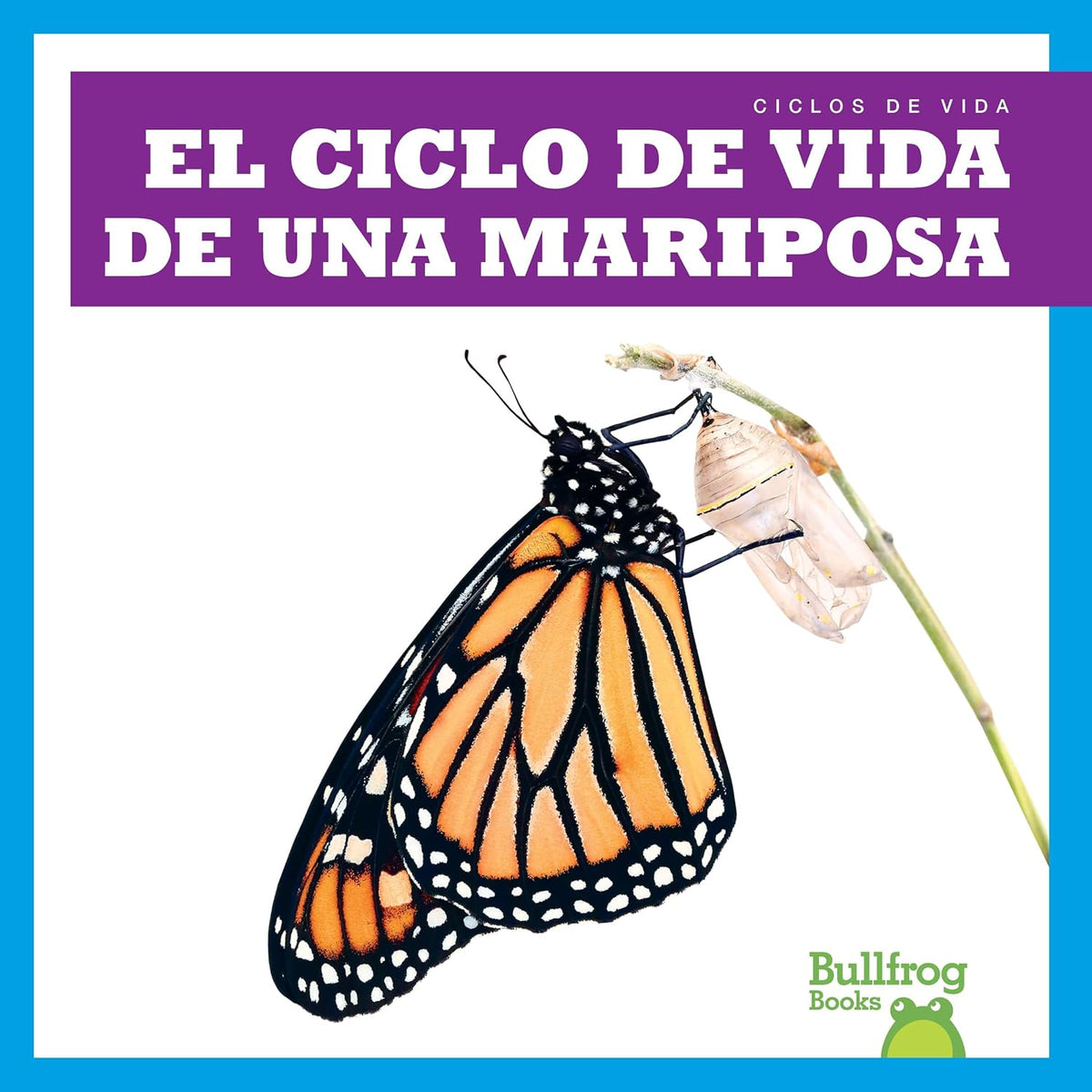 El ciclo de vida de una mariposa