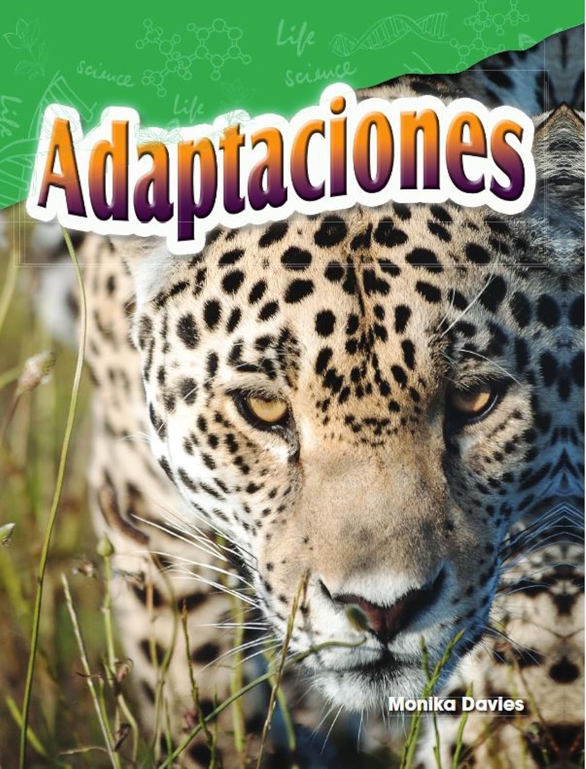 Adaptaciones