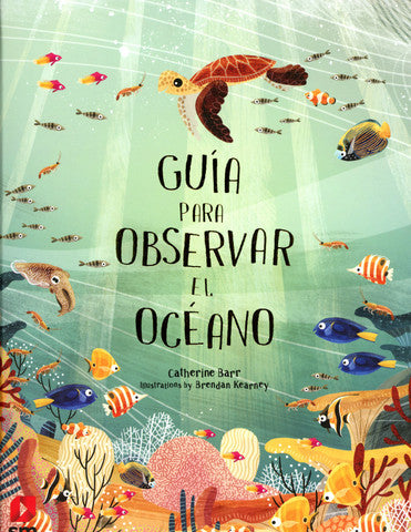 Guía para observar el océano