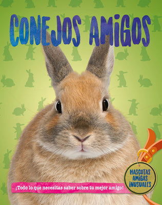 Conejos amigos