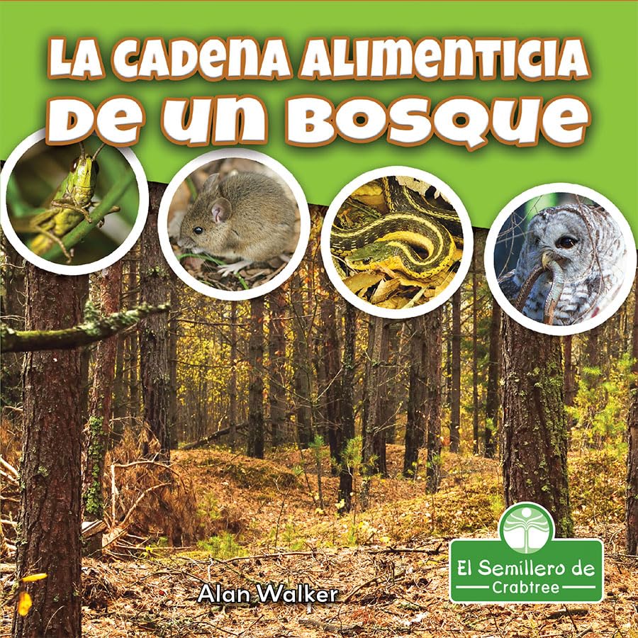 La cadena alimenticia de un bosque