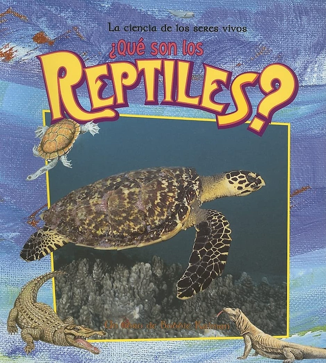 ¿Qué son los reptiles? (What is a Reptile?)