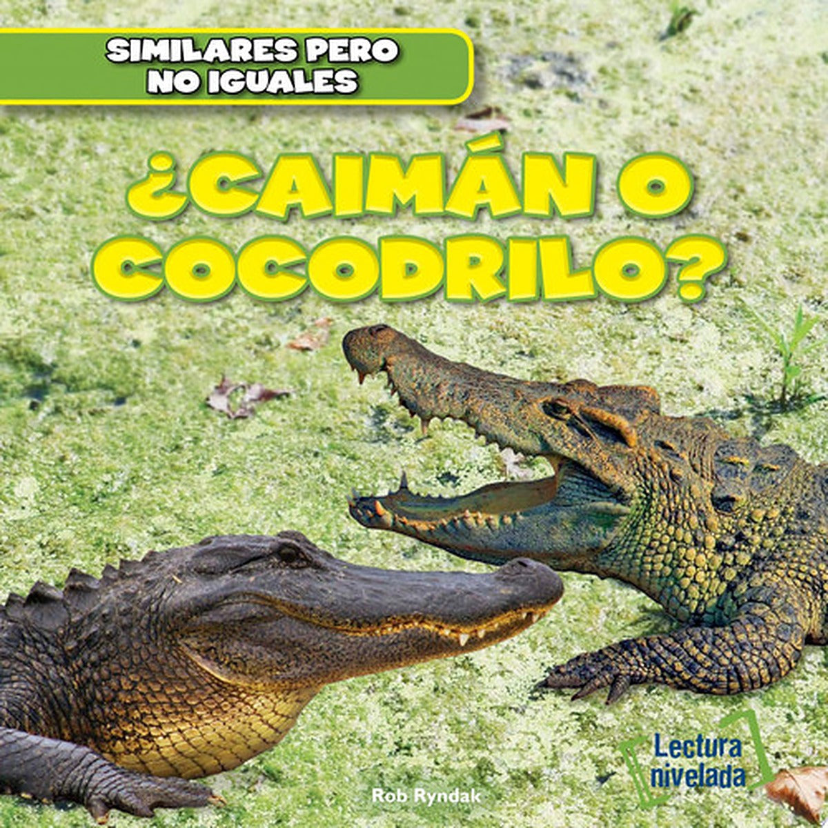 ¿Caimán o cocodrilo? (Alligator or Crocodile?)