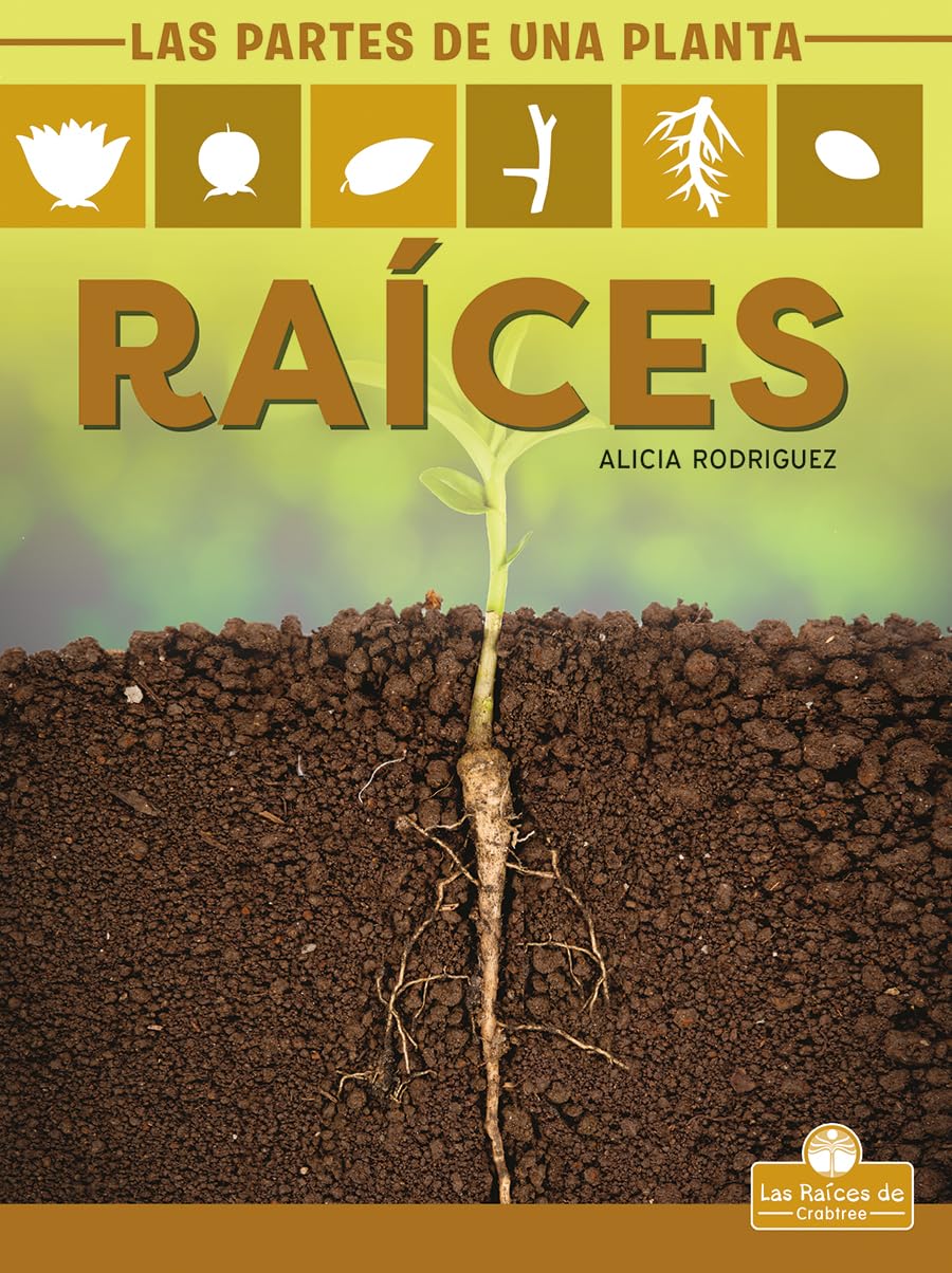 Raíces