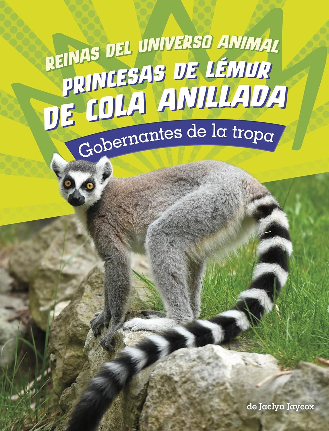 Princesas de lémur de cola anillada
