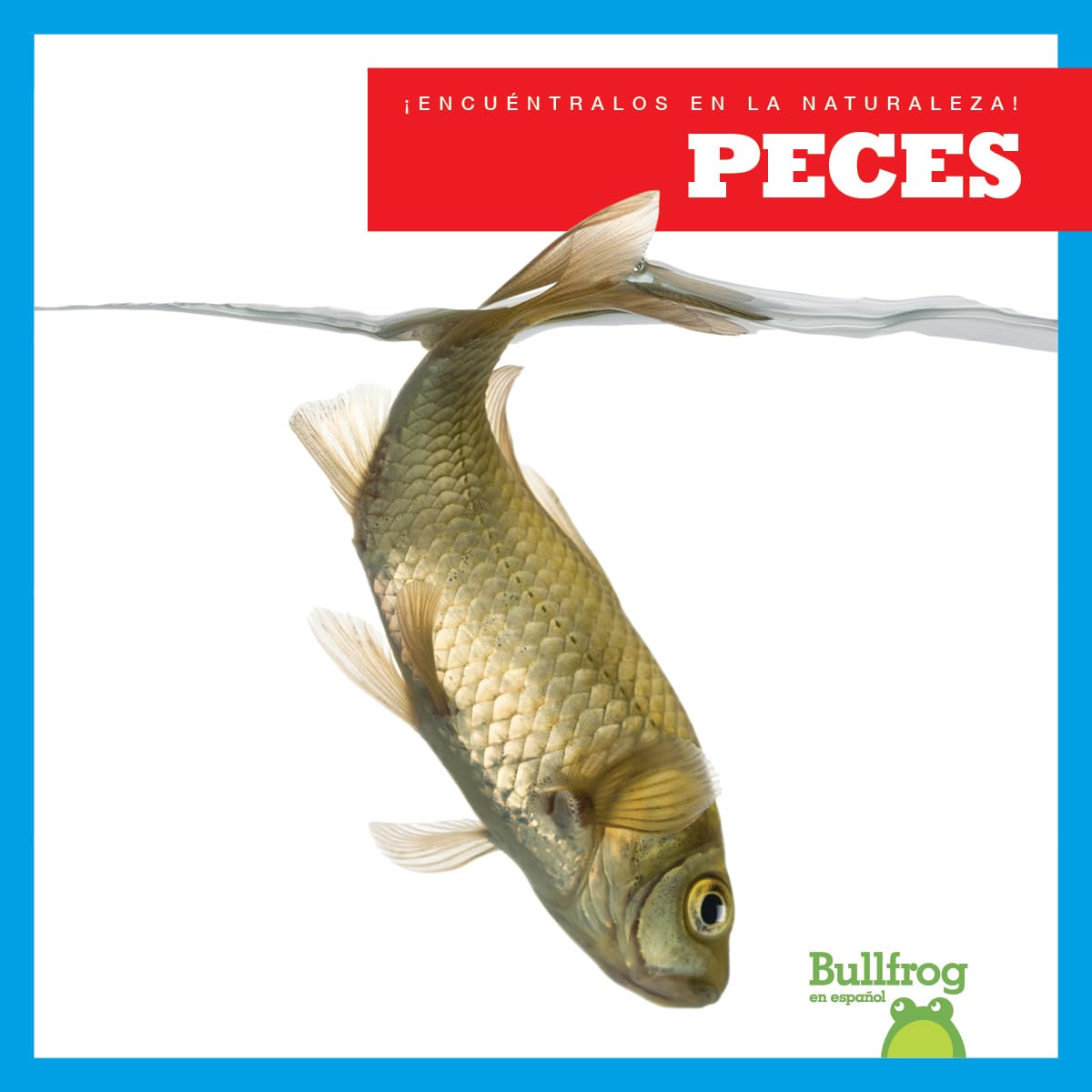 Peces