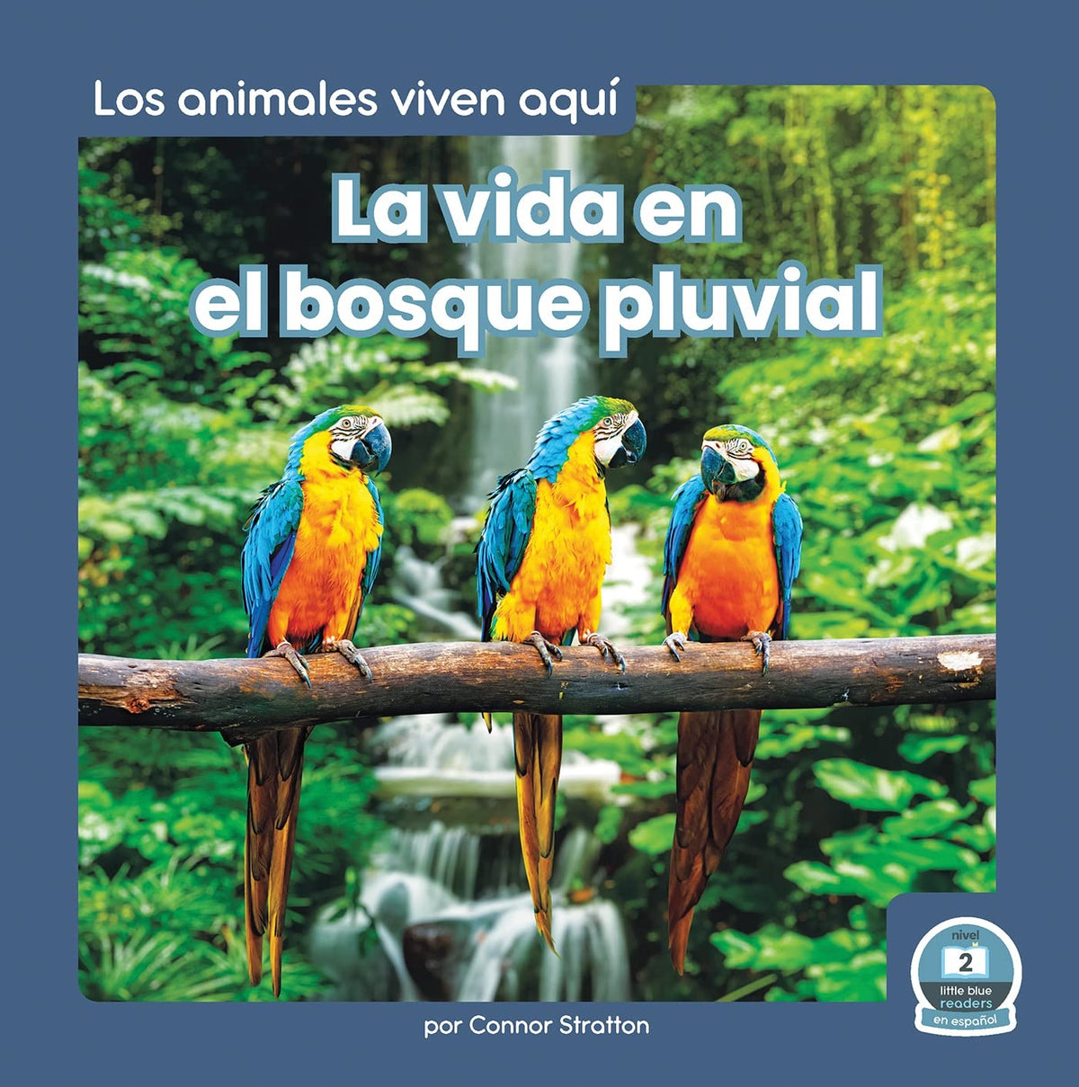 La Vida En El Bosque Pluvial