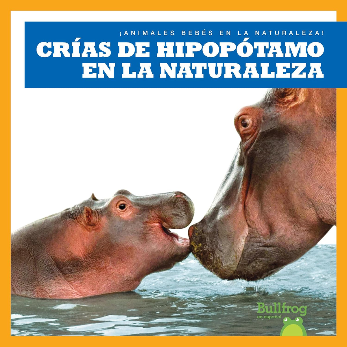Crías de hipopótamo en la naturaleza