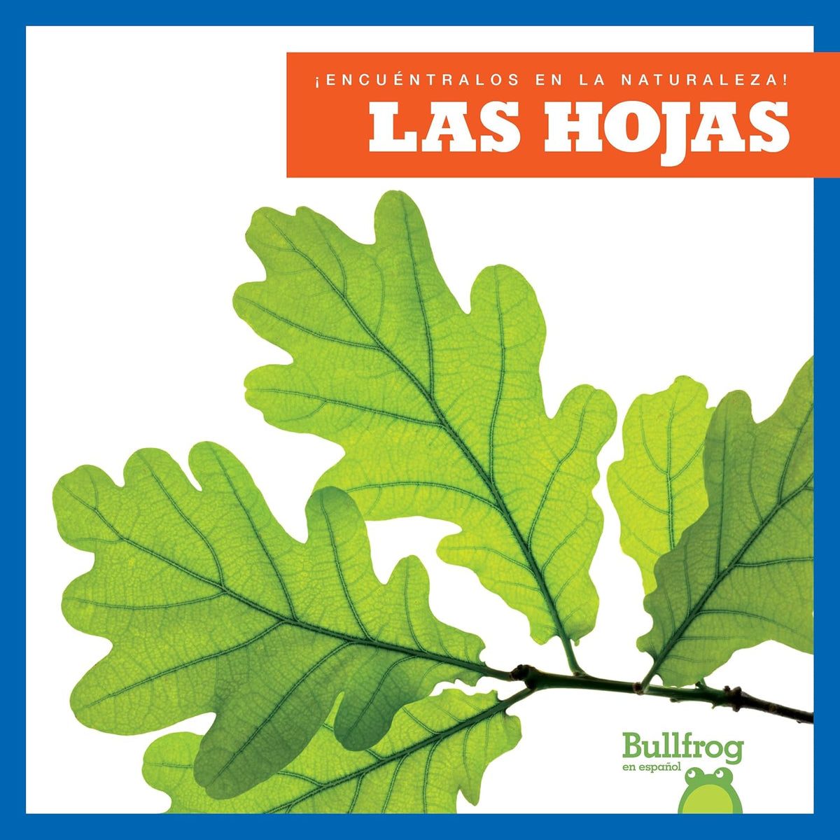 Las hojas