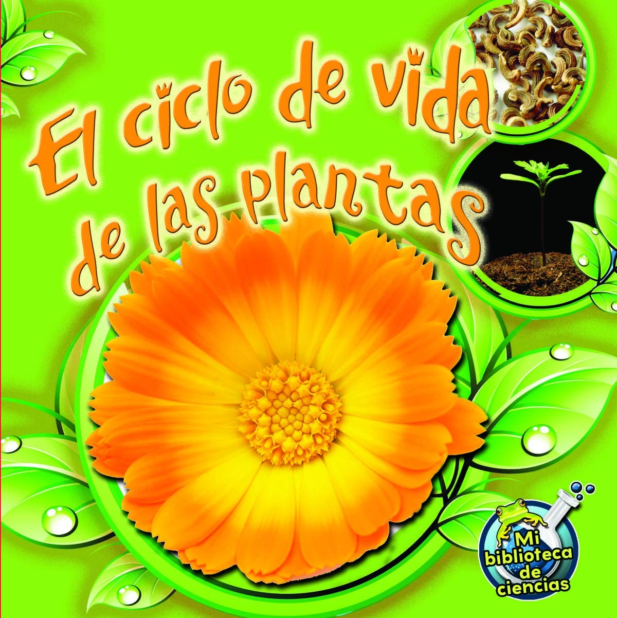 El ciclo de vida de las plantas