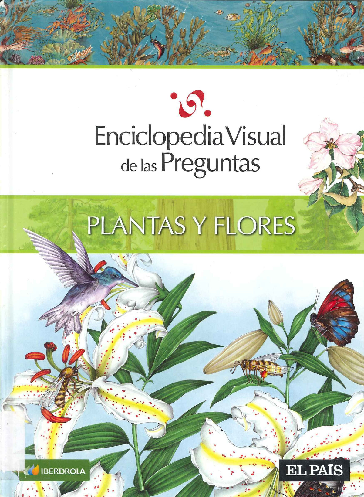 El abece visual de plantas y f