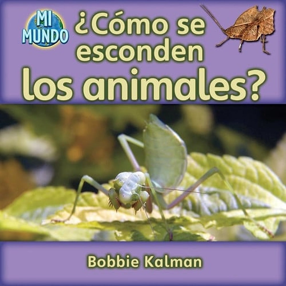¿Cómo se esconden los animales? (How do animals hide?)