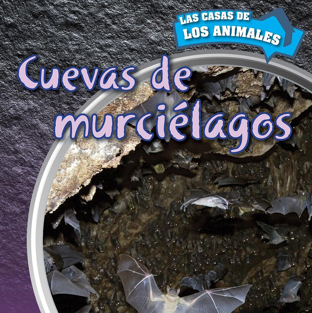 Cuevas de murciélagos (Inside Bat Caves)