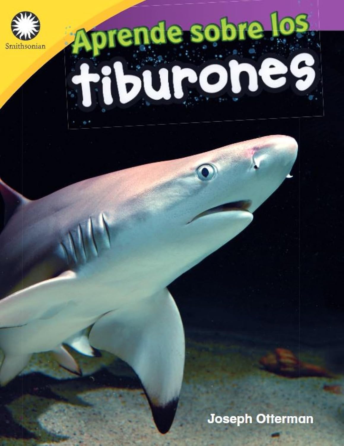 Aprende sobre los tiburones