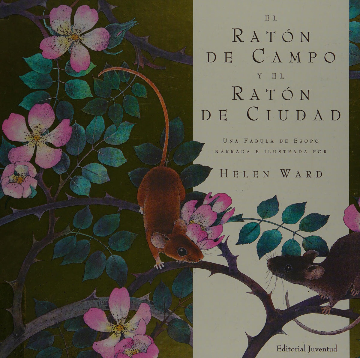 El Raton De Campo Y El Raton D