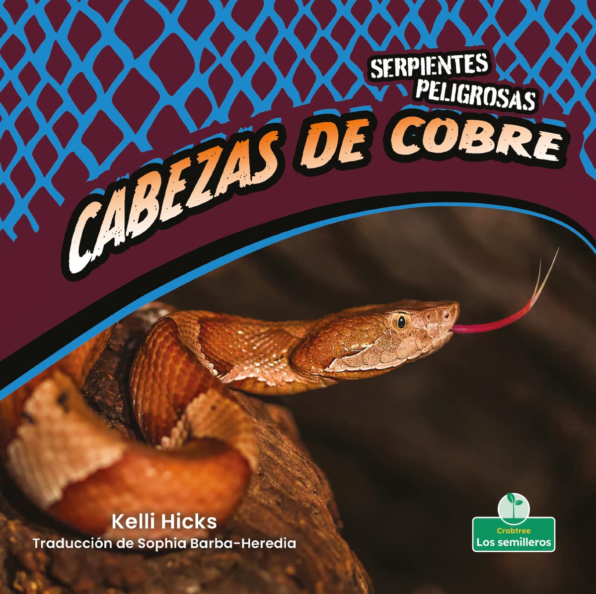 Cabezas de cobre