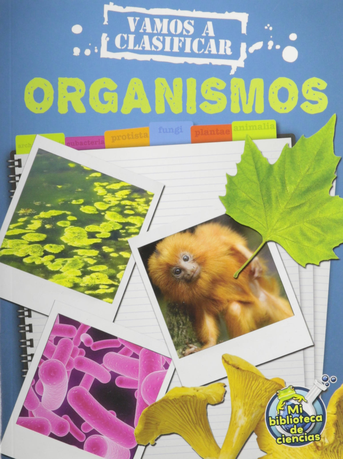 Vamos a clasificar organismos
