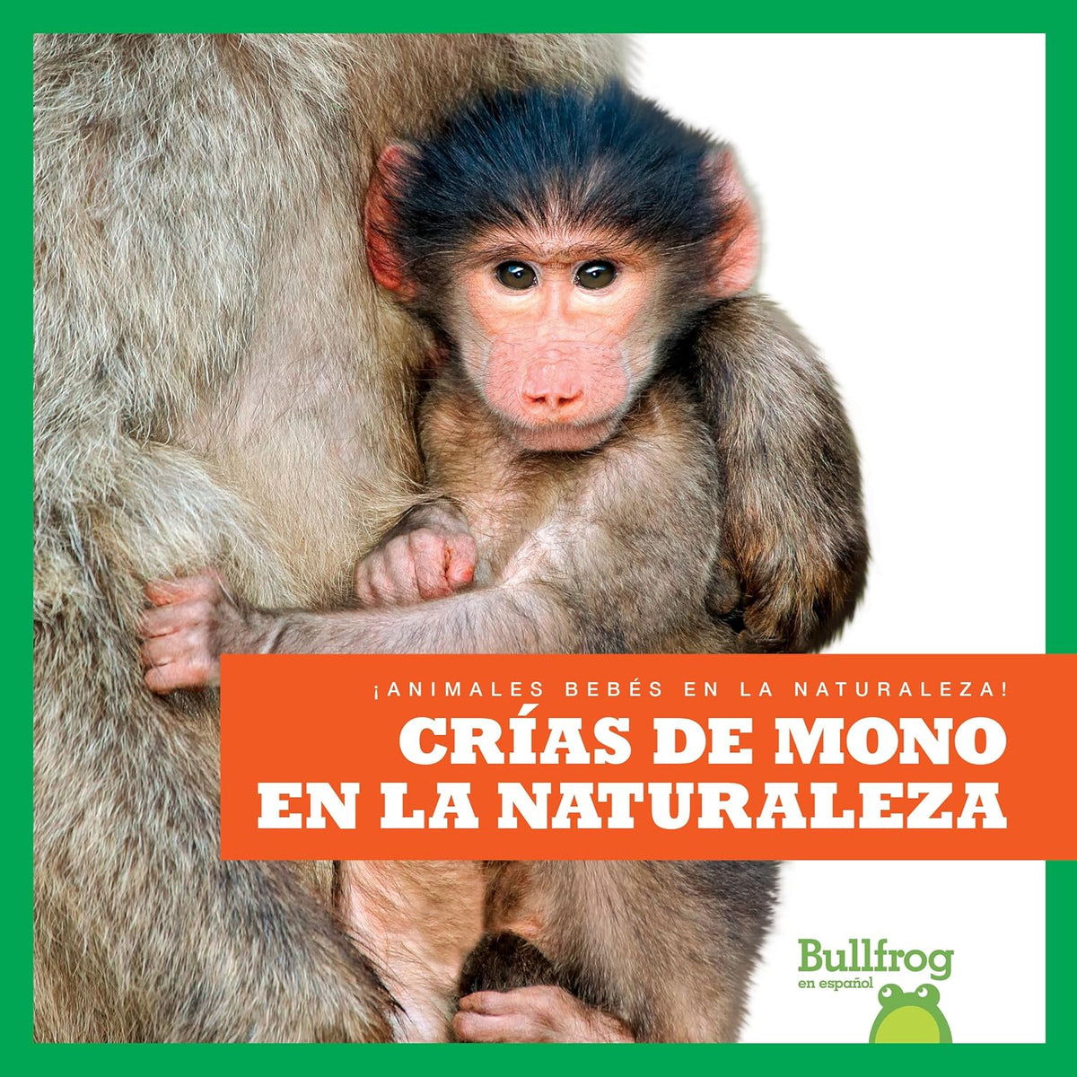 Crías de mono en la naturaleza