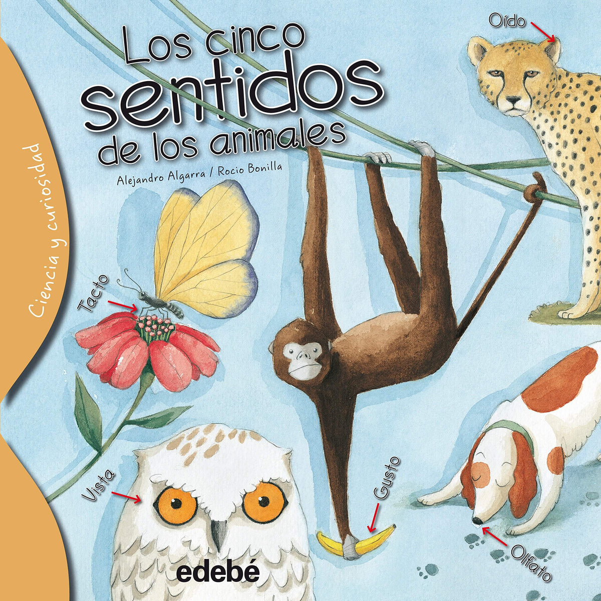 Los Cinco Sentidos de los Animales