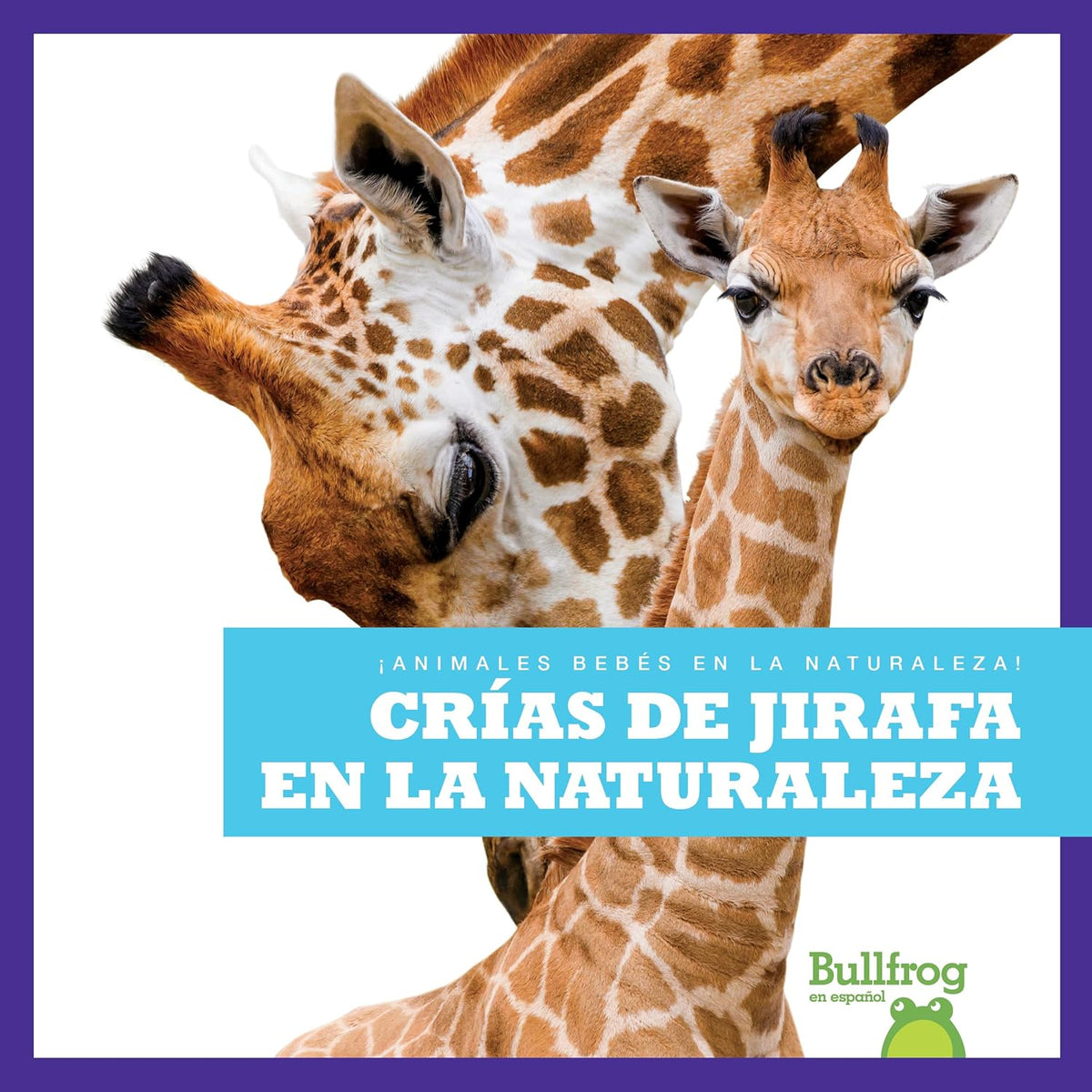 Crías de jirafa en la naturaleza