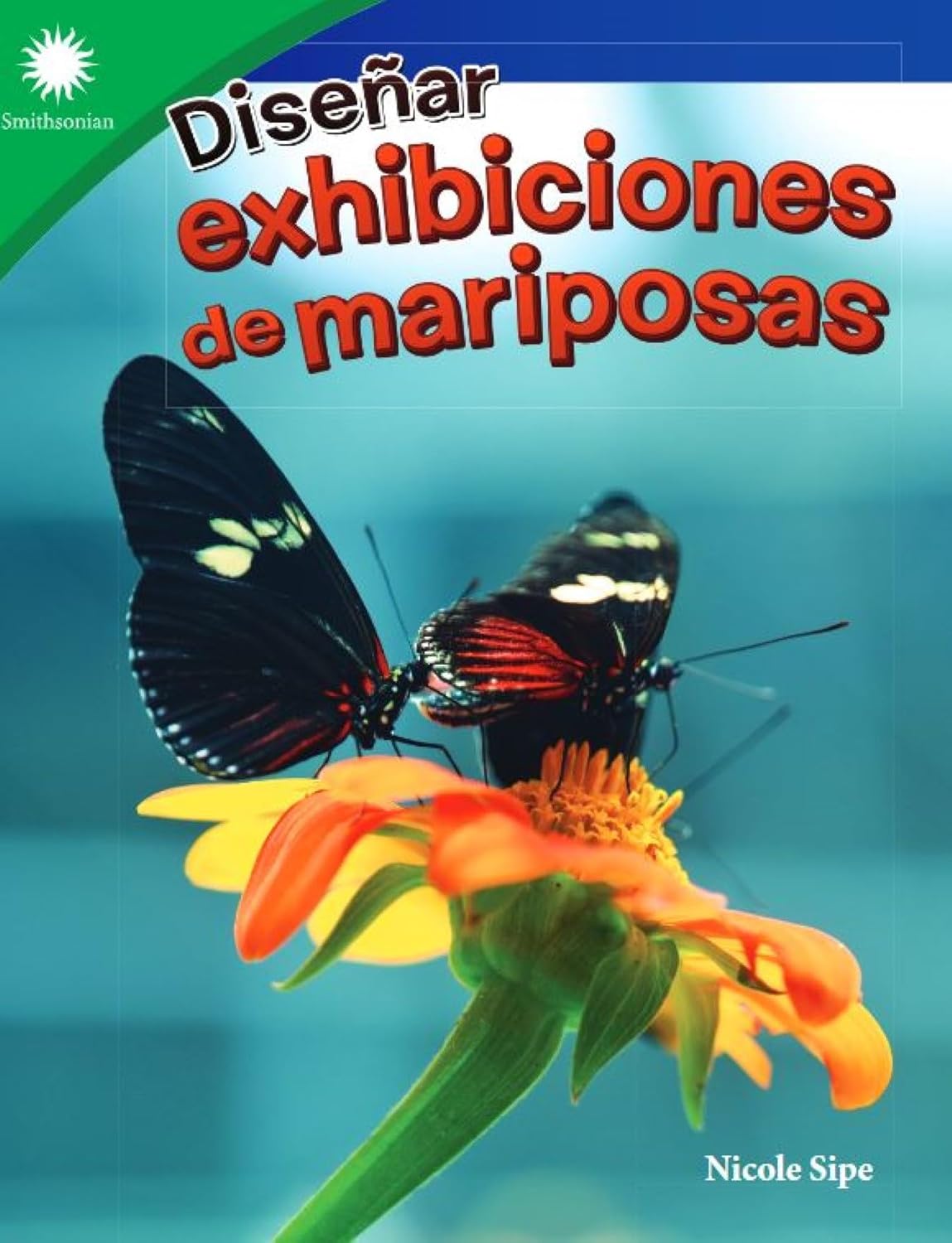 Diseñar exhibiciones de mariposas