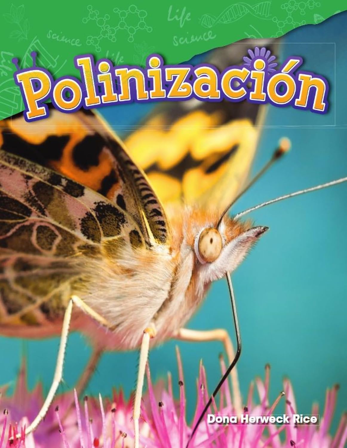 Polinización