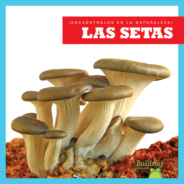 Las setas