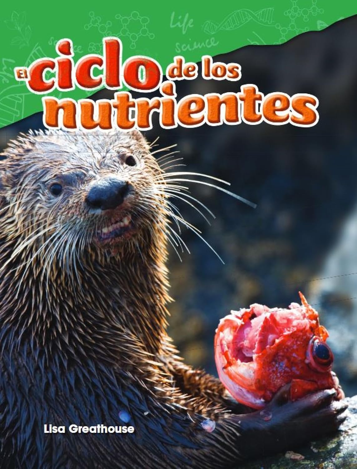 El ciclo de los nutrientes