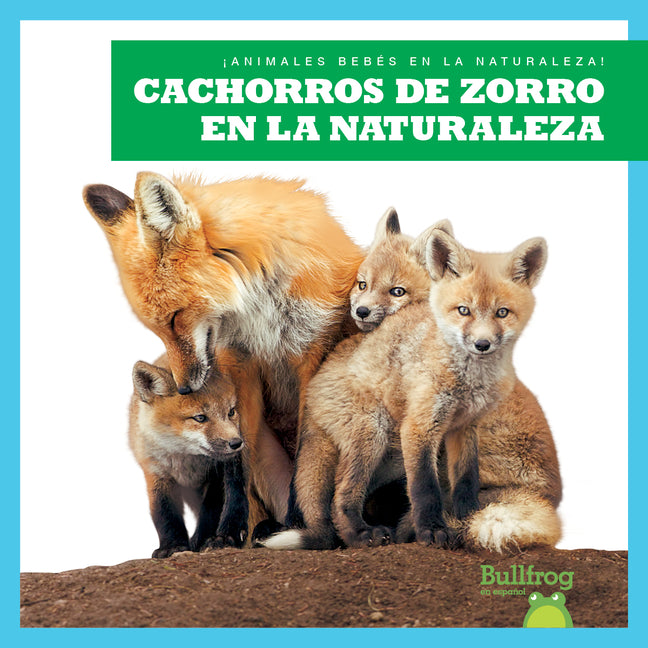 Cachorros de zorro en la naturaleza