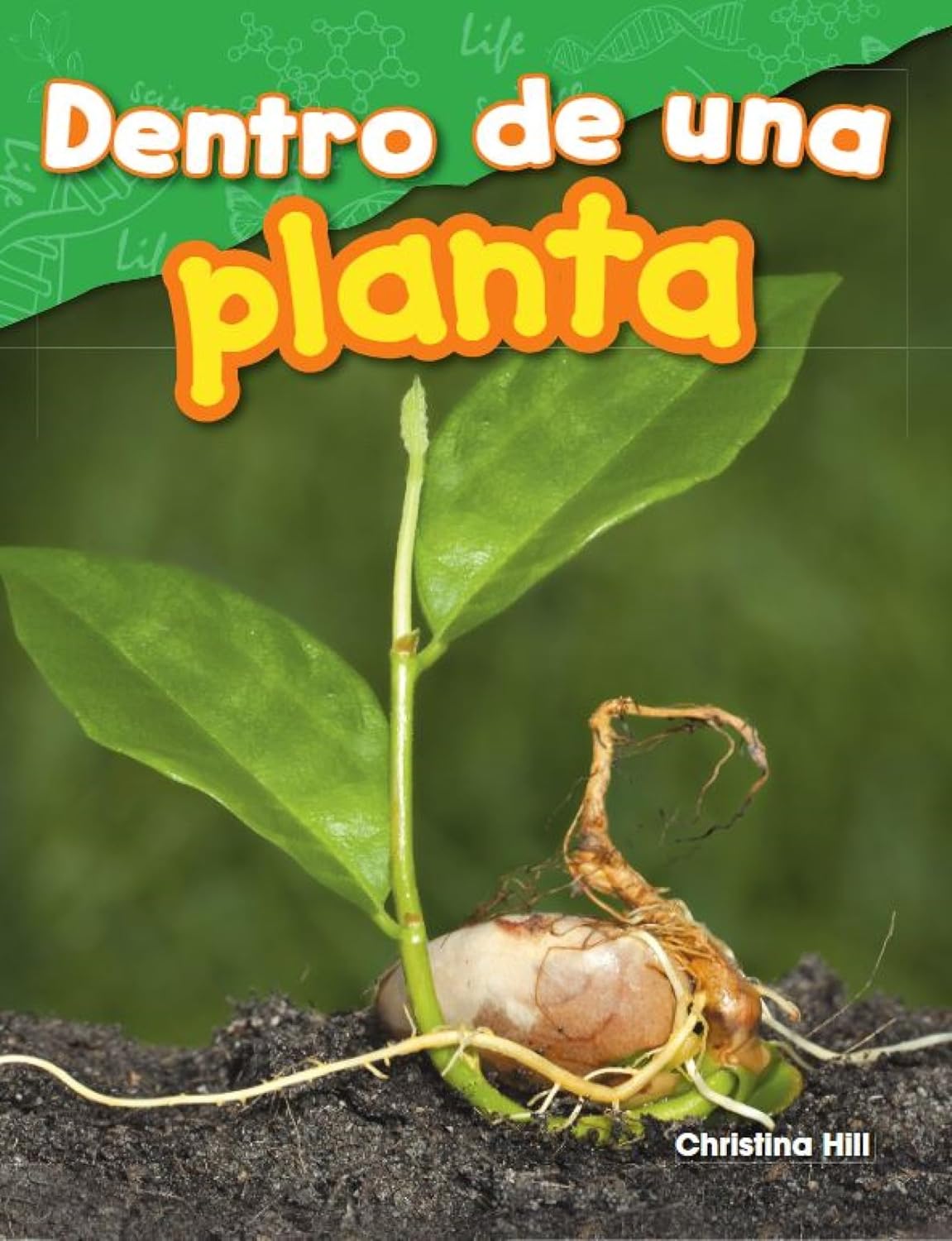 Dentro de una planta