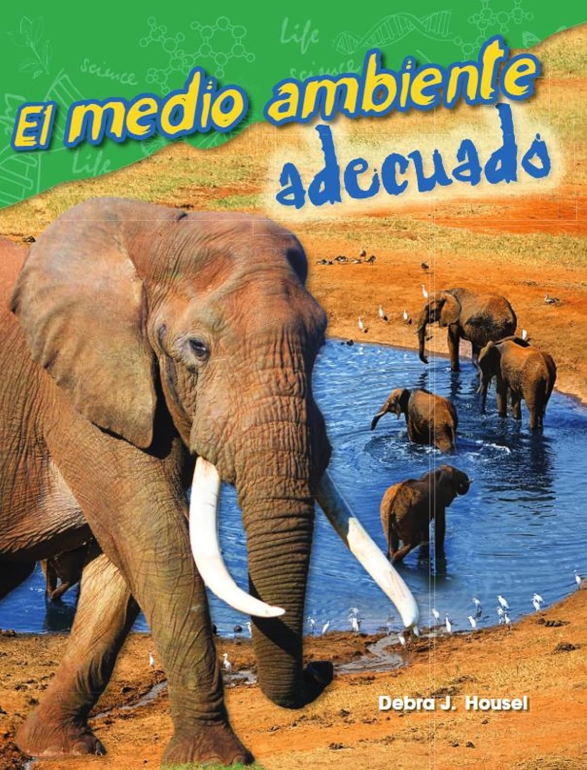 El medio ambiente adecuado
