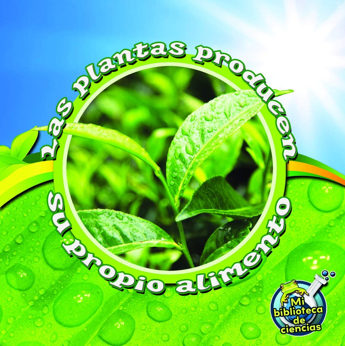 Las plantas producen su propio alimento