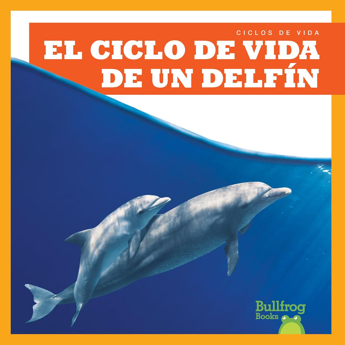 El ciclo de vida de un delfín