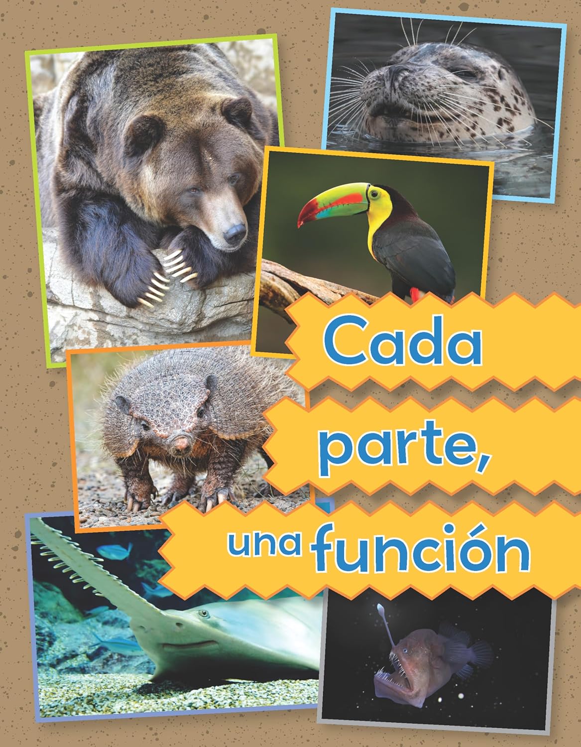 Cada parte, una función