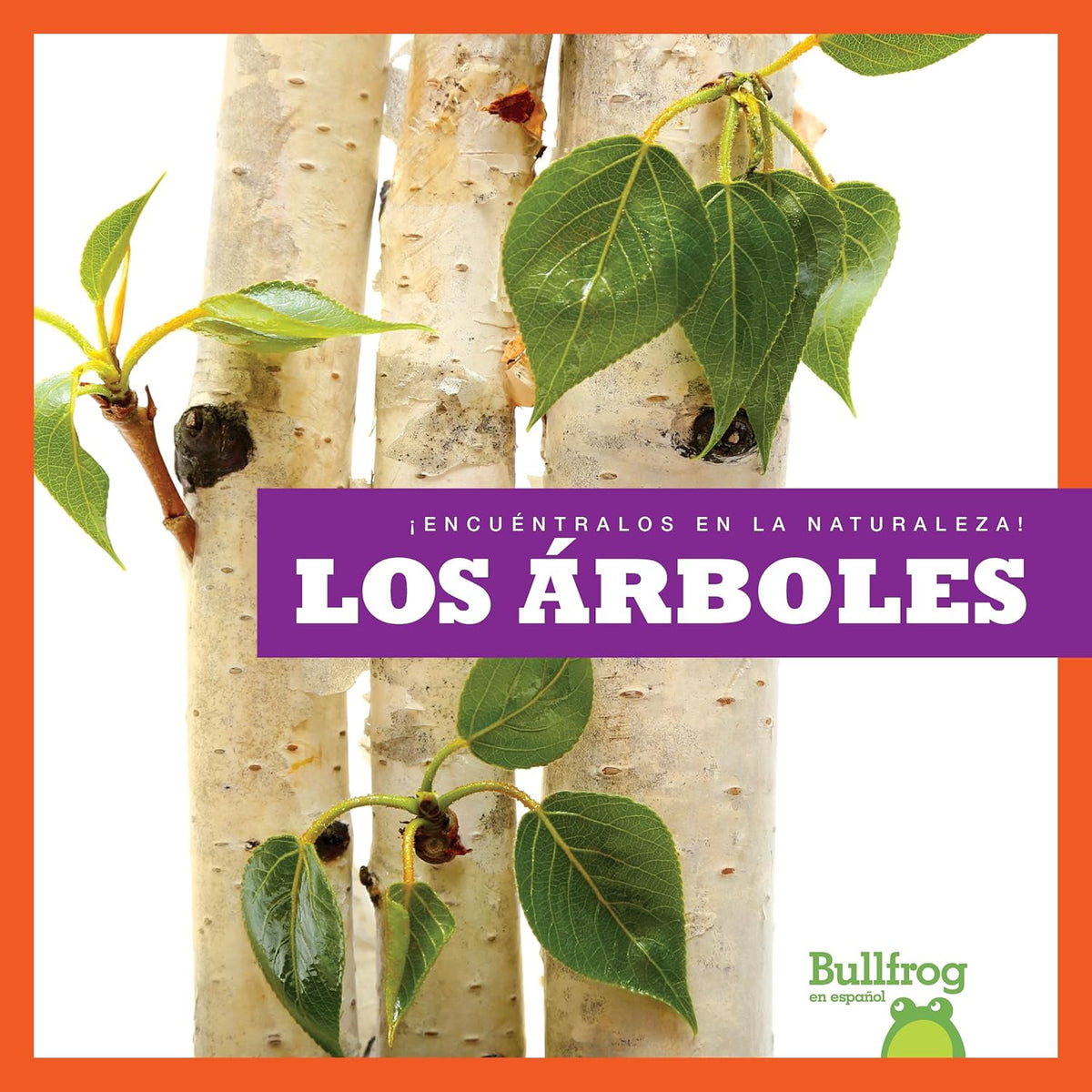 Los árboles