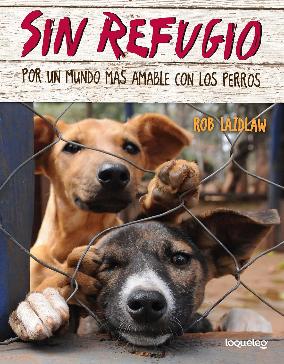 Sin refugio: Por un mundo más amable con los perros