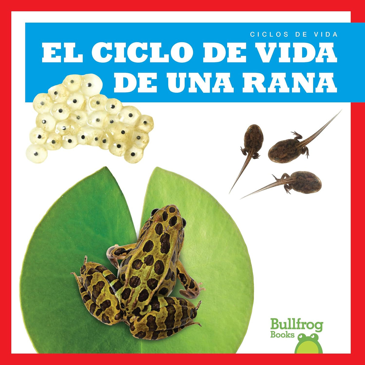 El ciclo de vida de una rana